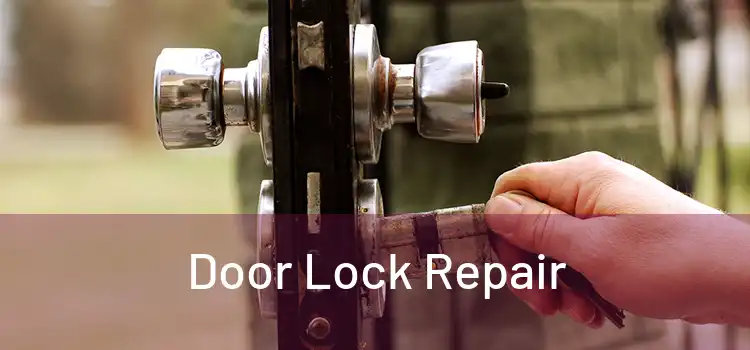 Door Lock Repair