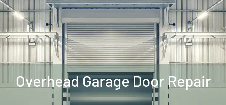  Overhead Garage Door Repair 